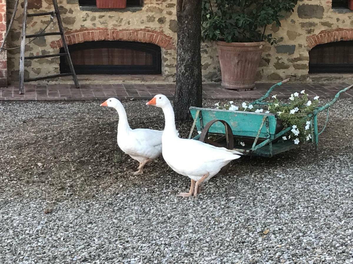 Podere La Fausta Serravalle Pistoiese المظهر الخارجي الصورة